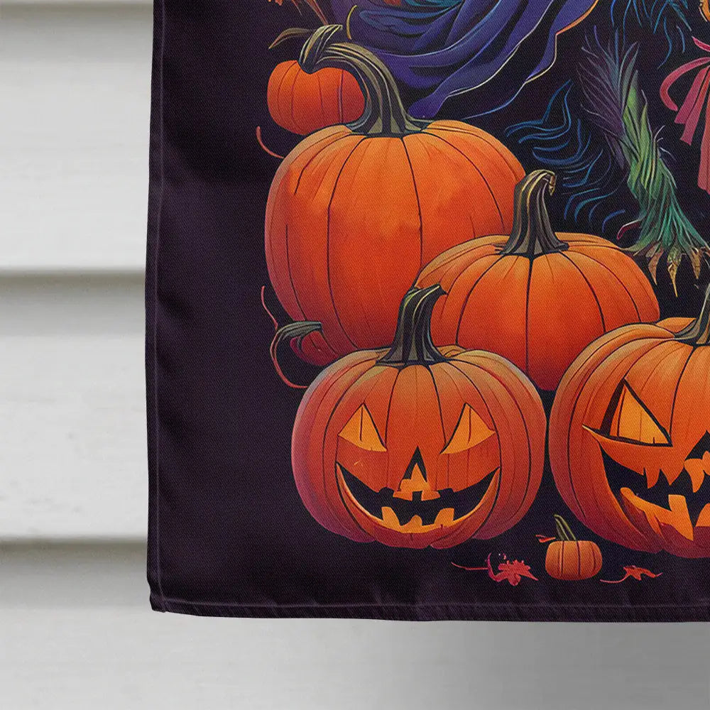 Affenpinscher Witchy Halloween House Flag